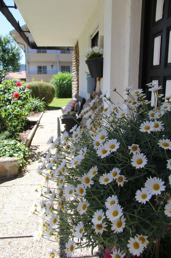Am Schmuggerbühl * Bodenmais