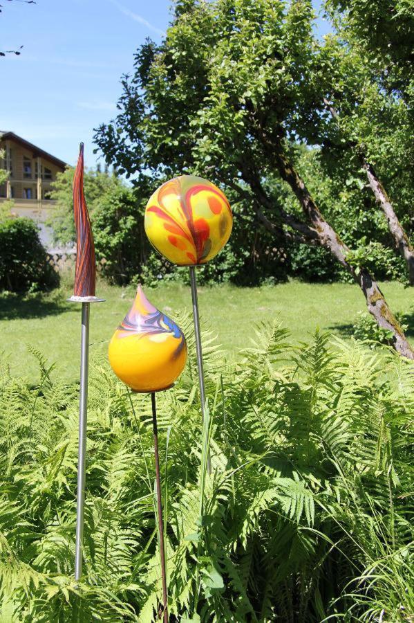 Am Schmuggerbuehl * Bodenmais